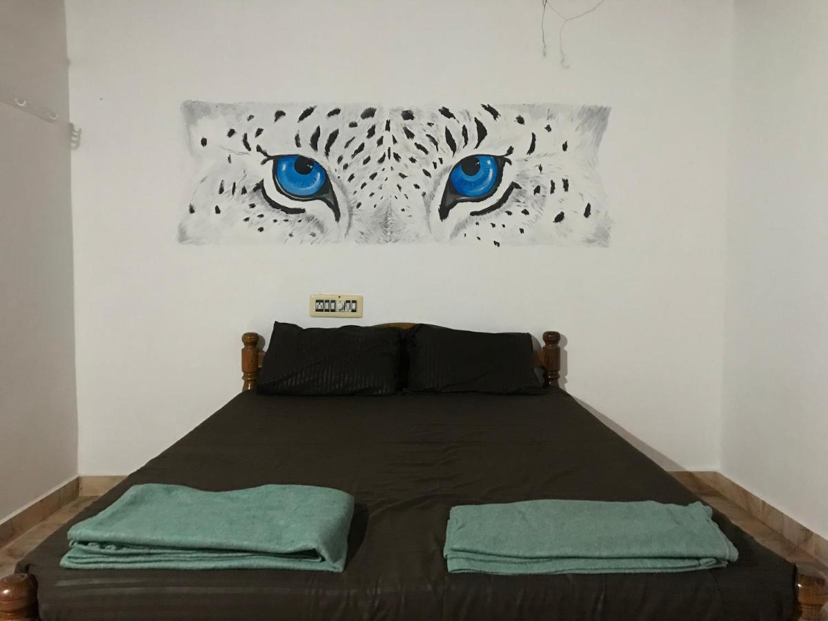 Tusker Tribe Hostel 戈卡尔纳 外观 照片